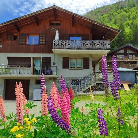 Appartement Meuble Classe 3 Etoiles De 72 M2, 2 Chambres Morzine Buitenkant foto